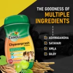 Chyavanprash-Avaleha_9d83b468-8cce-4ed8-9471-5b850486d447_400x