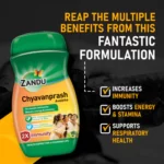Chyavanprash-Avaleha_9d83b468-8cce-4ed8-9471-5b850486d447_400x