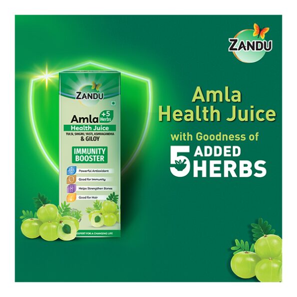 zandu_amla_5_herbs_immunity_booster_health_juice_500_ml_2_0