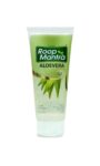 aloe-1