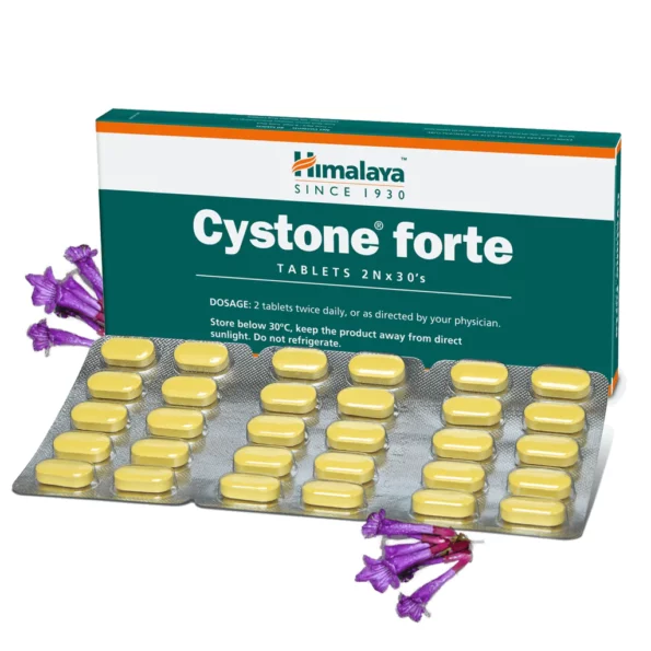 cystone-forte-tabs-2nx30s_1024x1024